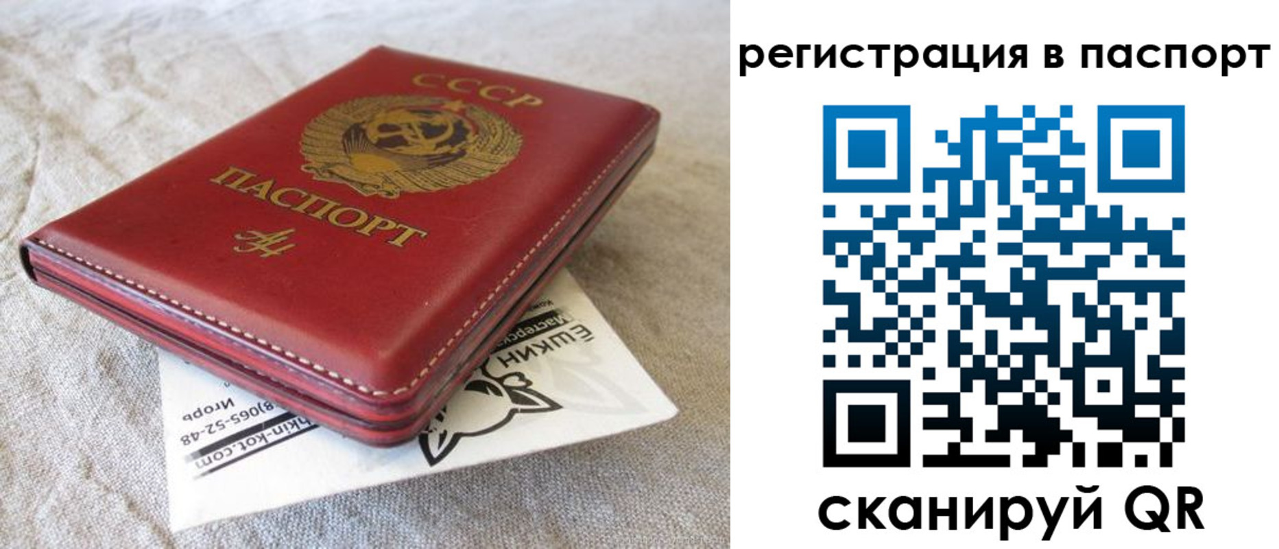пропишу в квартире в Краснодаре